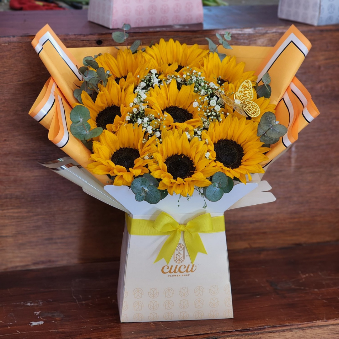 Fusión Clásico de Girasoles