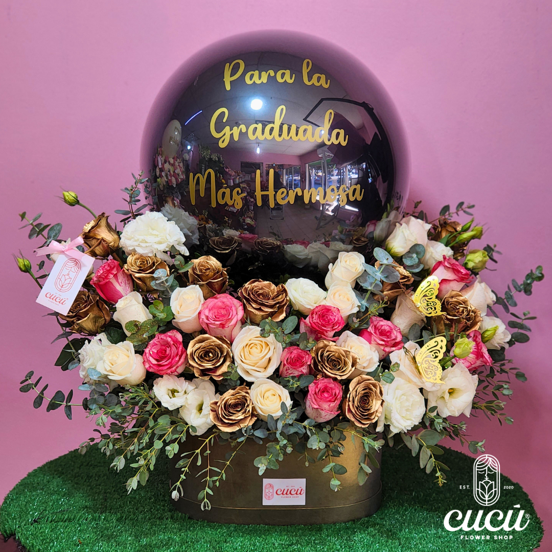 Burbuja Sueño Dorado