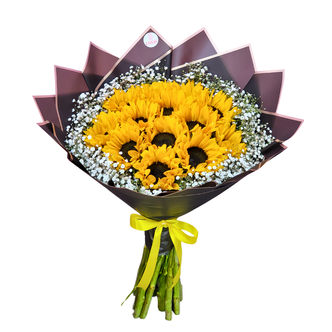 Algodón de Girasoles