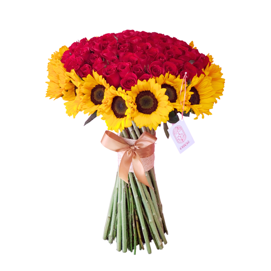 Combinación Perfecta