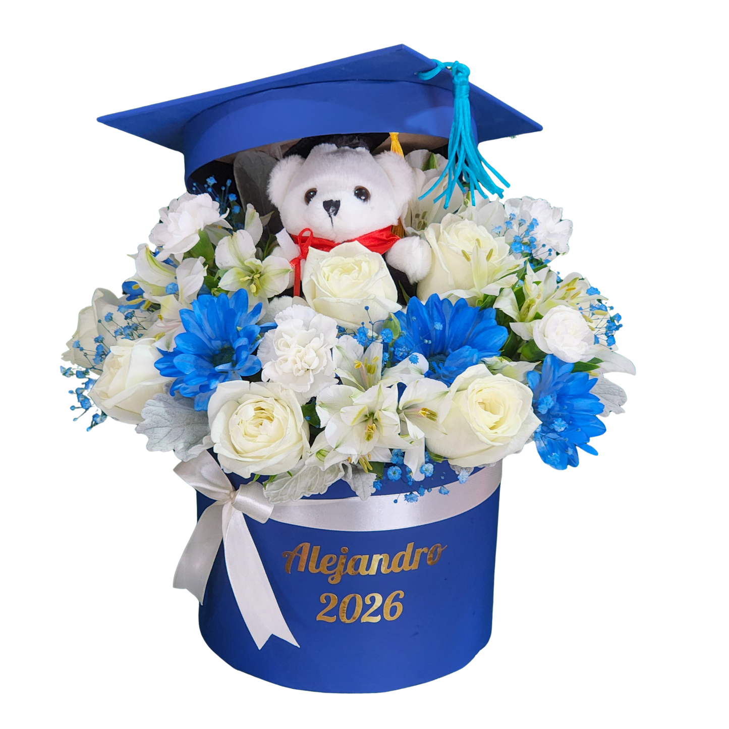 Honor Teddy