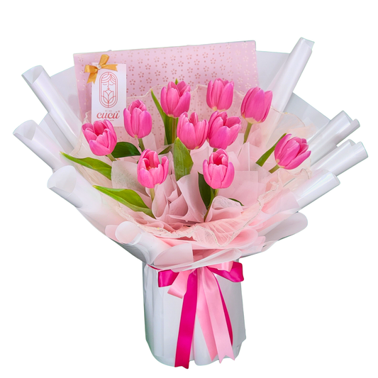 Tulip Whisper